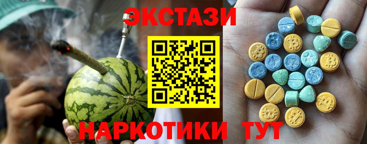 Ecstasy бентли Борзя