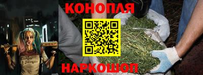 прущие грибы Баксан