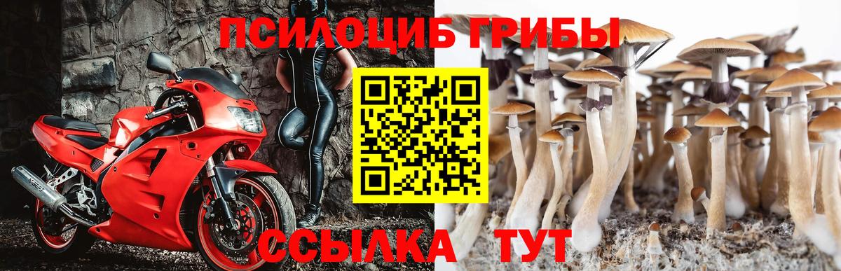 Галлюциногенные грибы мухоморы  Псилоцибиновые грибы ЛСД  где купить наркоту  Борзя  Вход с VPN 
