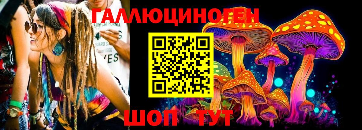 Галлюциногенные грибы Cubensis Борзя